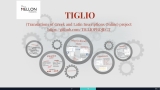 17. TIGLIO (Translations of Greek and Latin Inscriptions Online) project